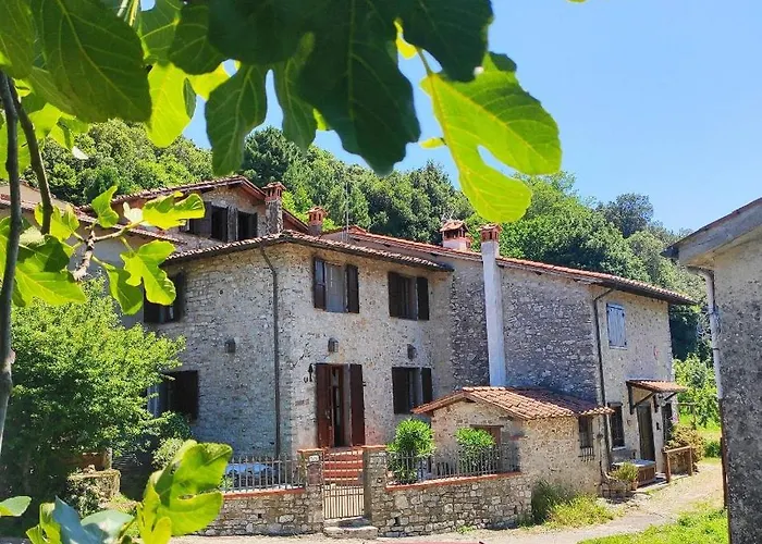 Cara House Tuscany - Zona Lucca