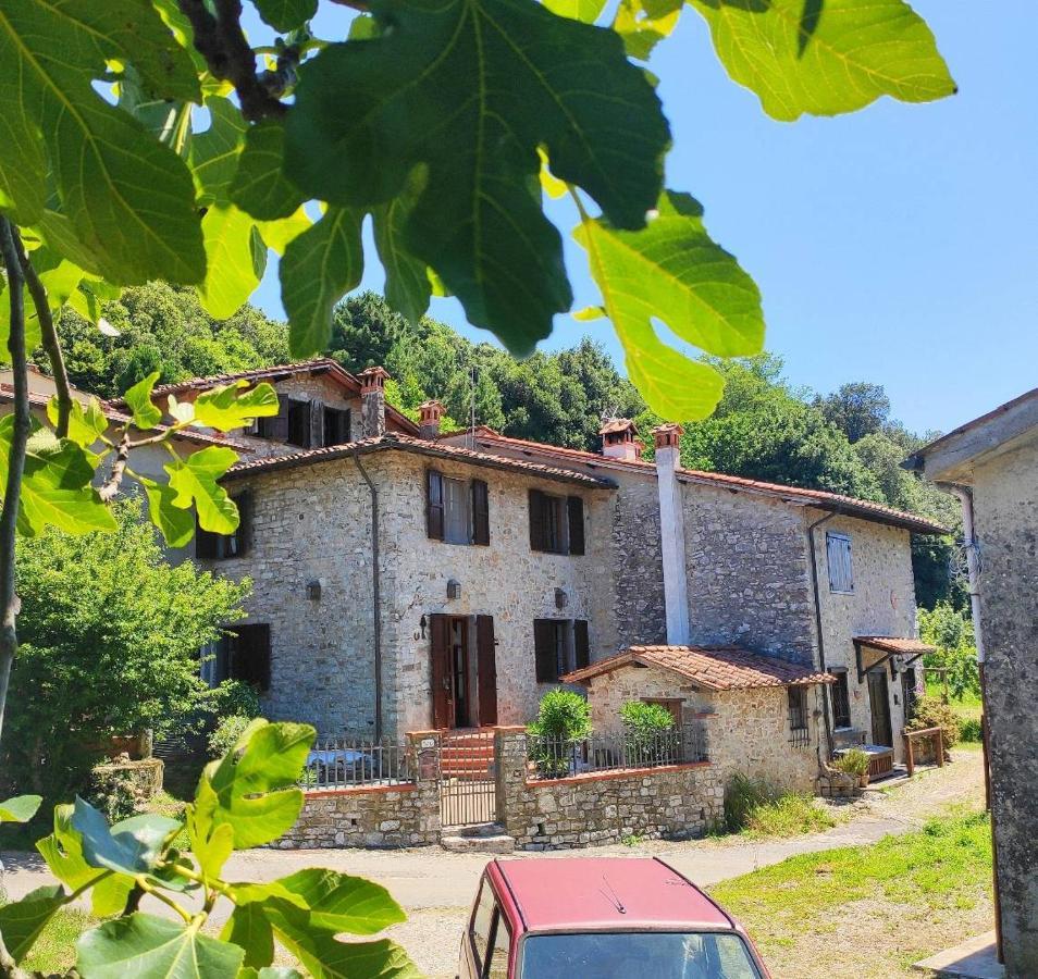 Cara House Tuscany - Zona Lucca Holiday home *