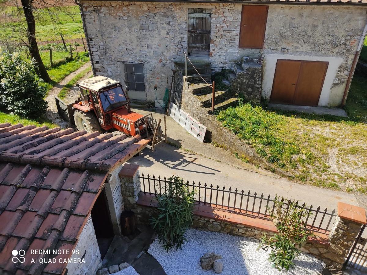 Cara House Tuscany - Zona Lucca * Chiatri