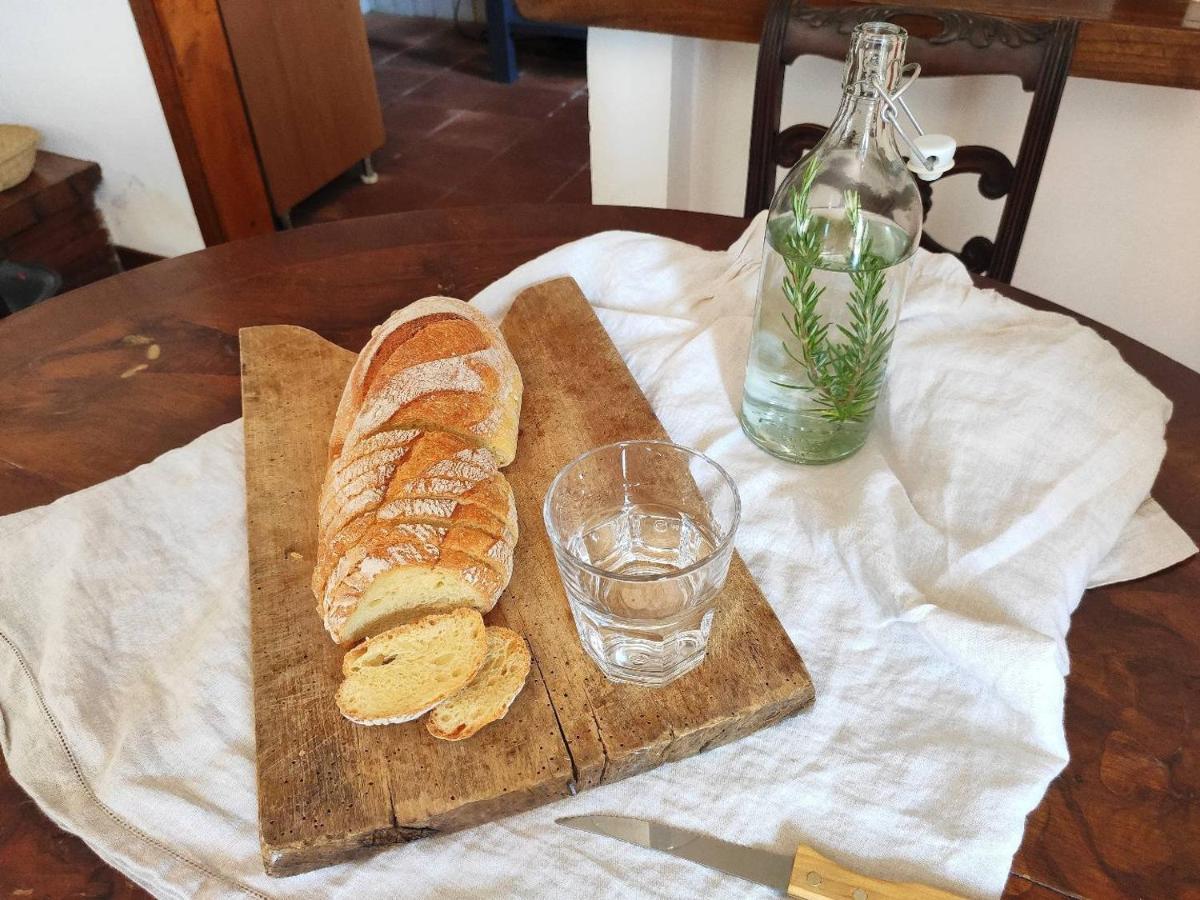Cara House Tuscany - Zona Lucca Holiday home Chiatri