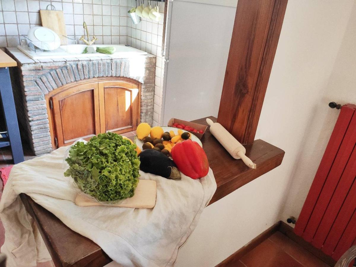 Holiday home Cara House Tuscany - Zona Lucca *