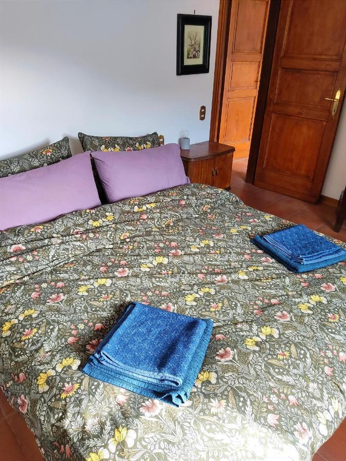Cara House Tuscany - Zona Lucca * Chiatri
